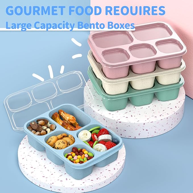 Adult Lunch Box - 4 Pack, 5 - Compartment Meal Prep Container for Kids, Reusable Food Storage Snack Containers - Stackable for School, Work, and Travel (Wheat(Green/Blue/Pink/Beige))